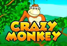 Crazy Monkey